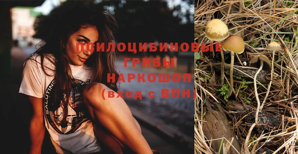 прущая мука Армянск