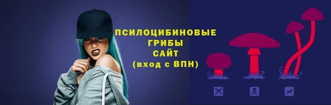 спайс Арсеньев