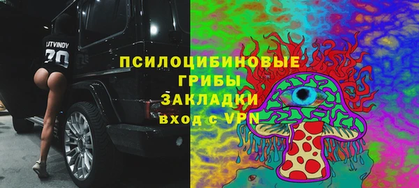 прущая мука Армянск