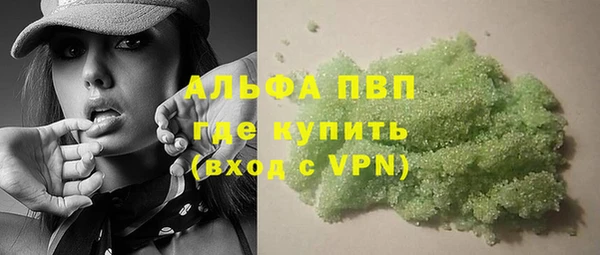 спайс Арсеньев