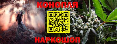a pvp Рыбинск