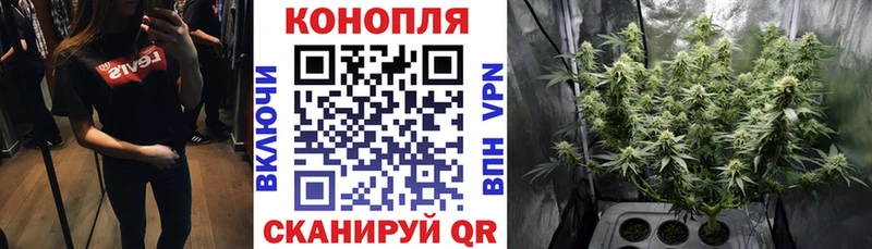 наркота  Усолье-Сибирское  Шишки марихуана OG Kush 